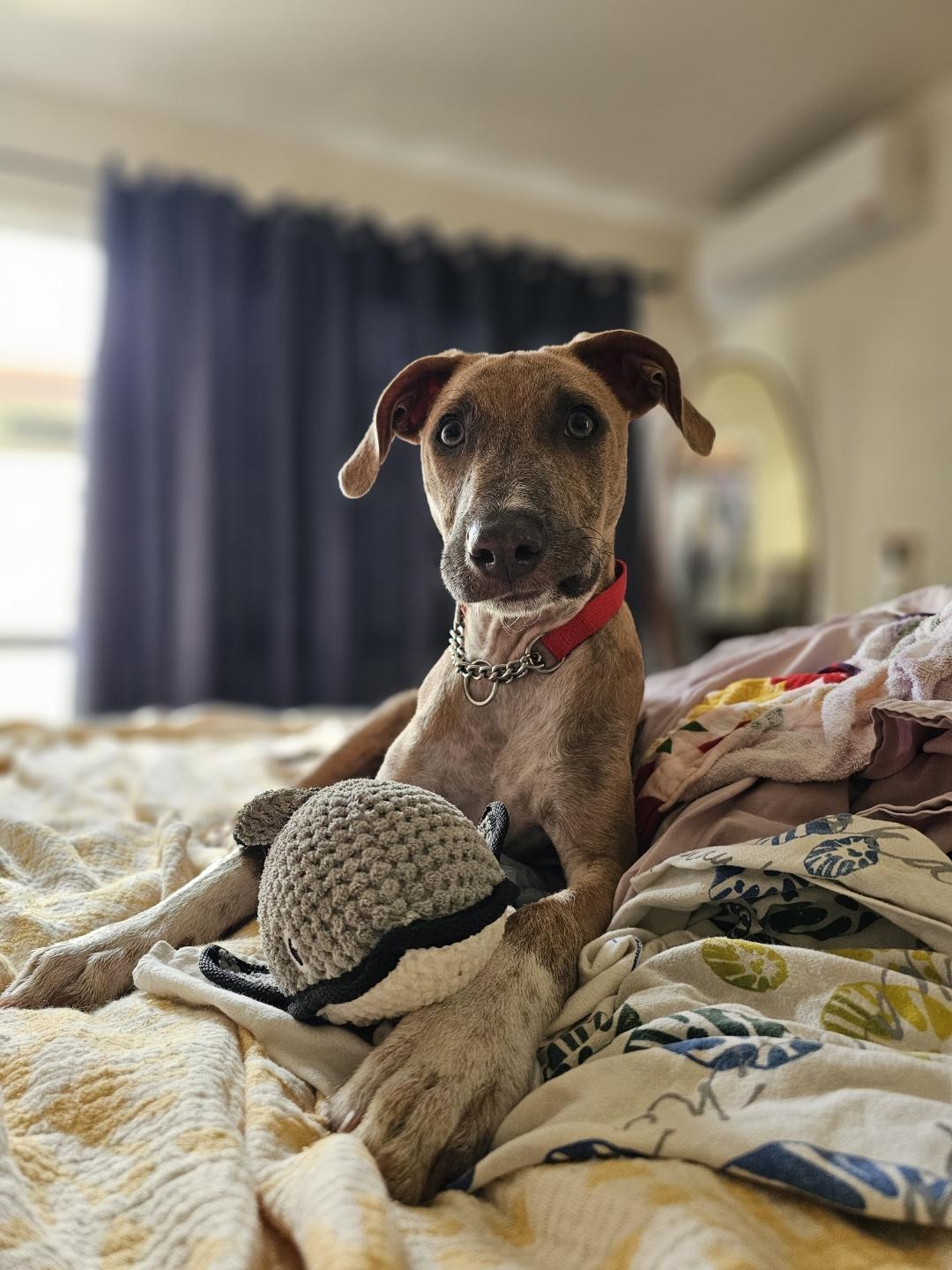 Spike photo