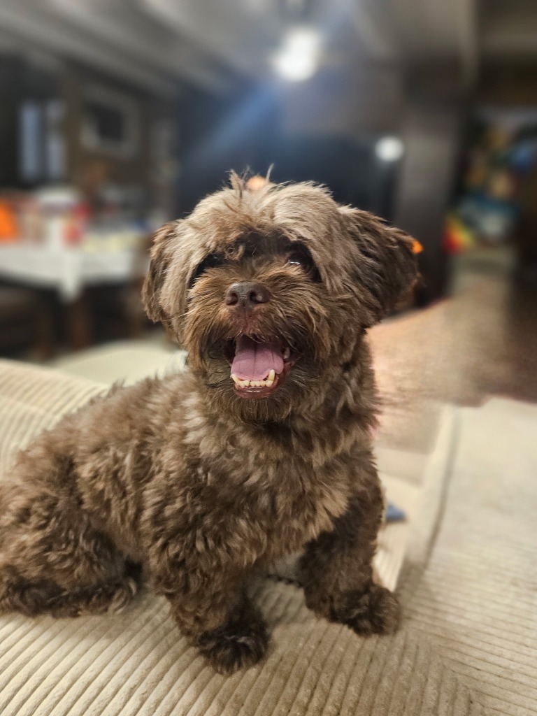 Niko