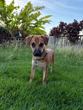 Ernie, photo 2