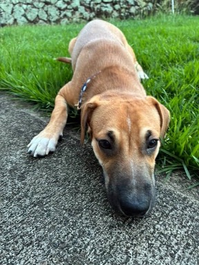 Ernie, photo 4