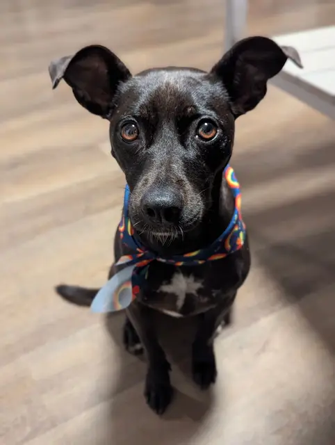 Coco