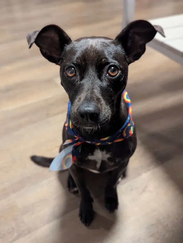 Coco