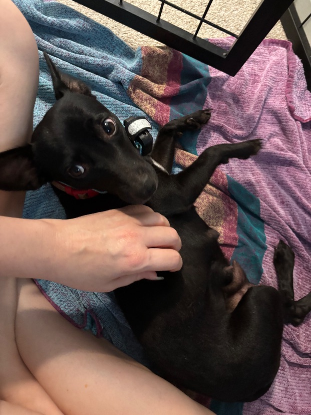 Echo