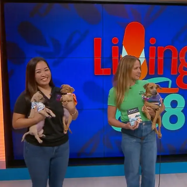 KHON2 — The Doggy Passport: A Summer of Fun, Discounts, and Giving Back for Oahu’s Dog Lovers