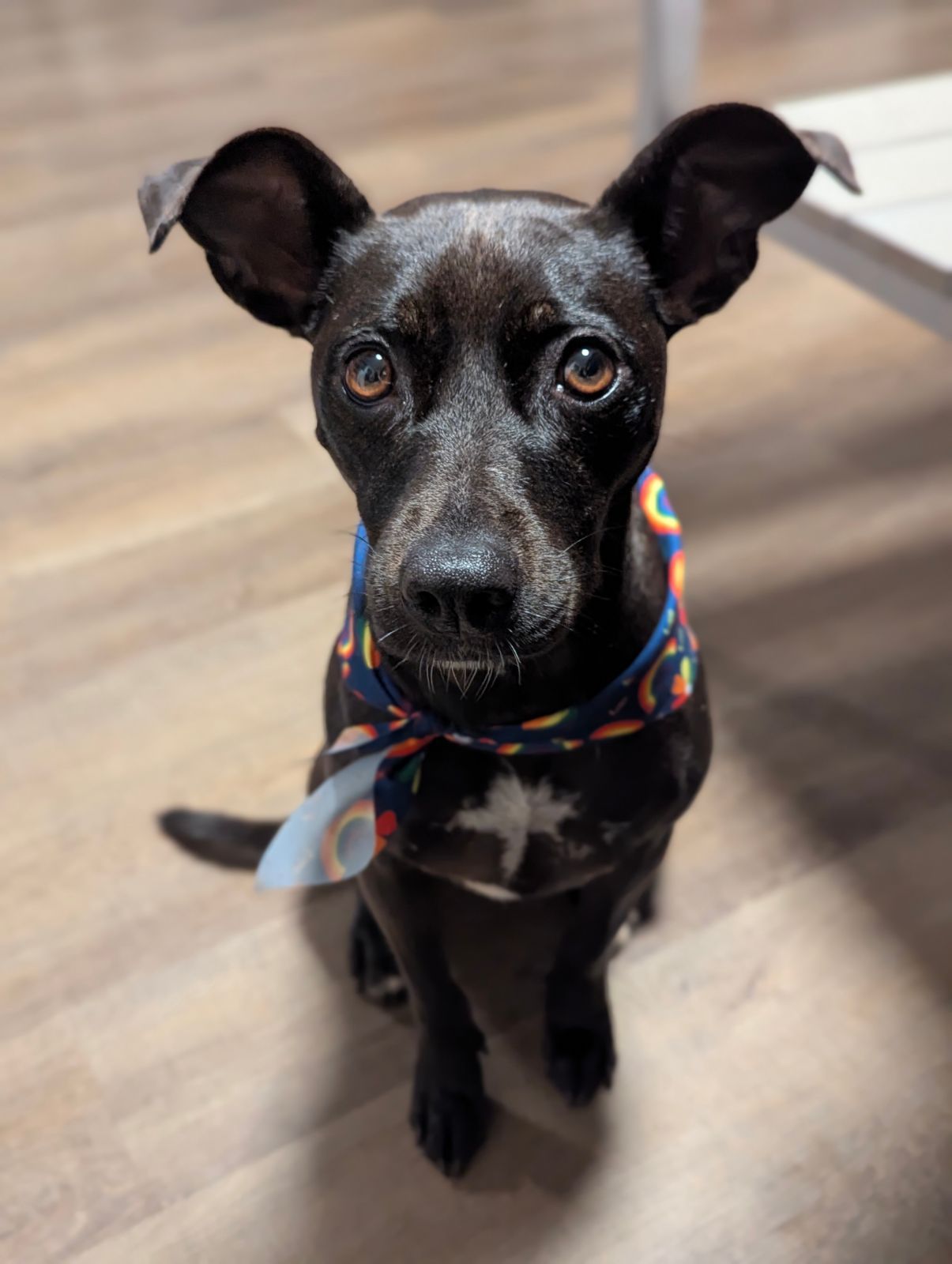 Coco