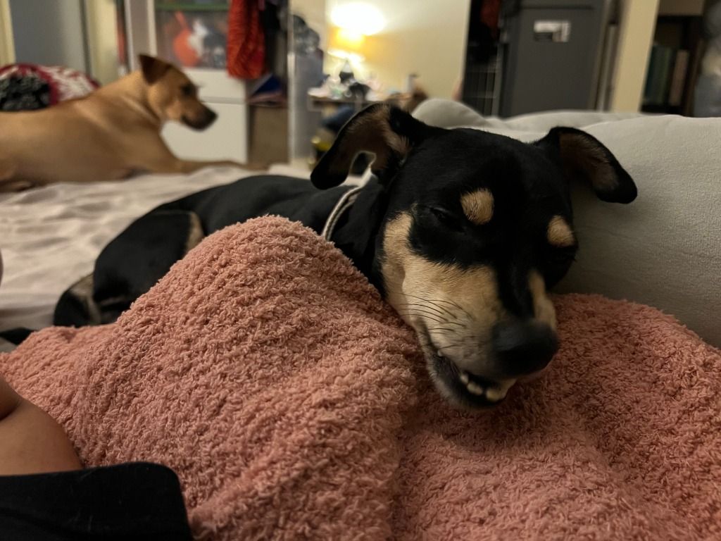 Buckley
