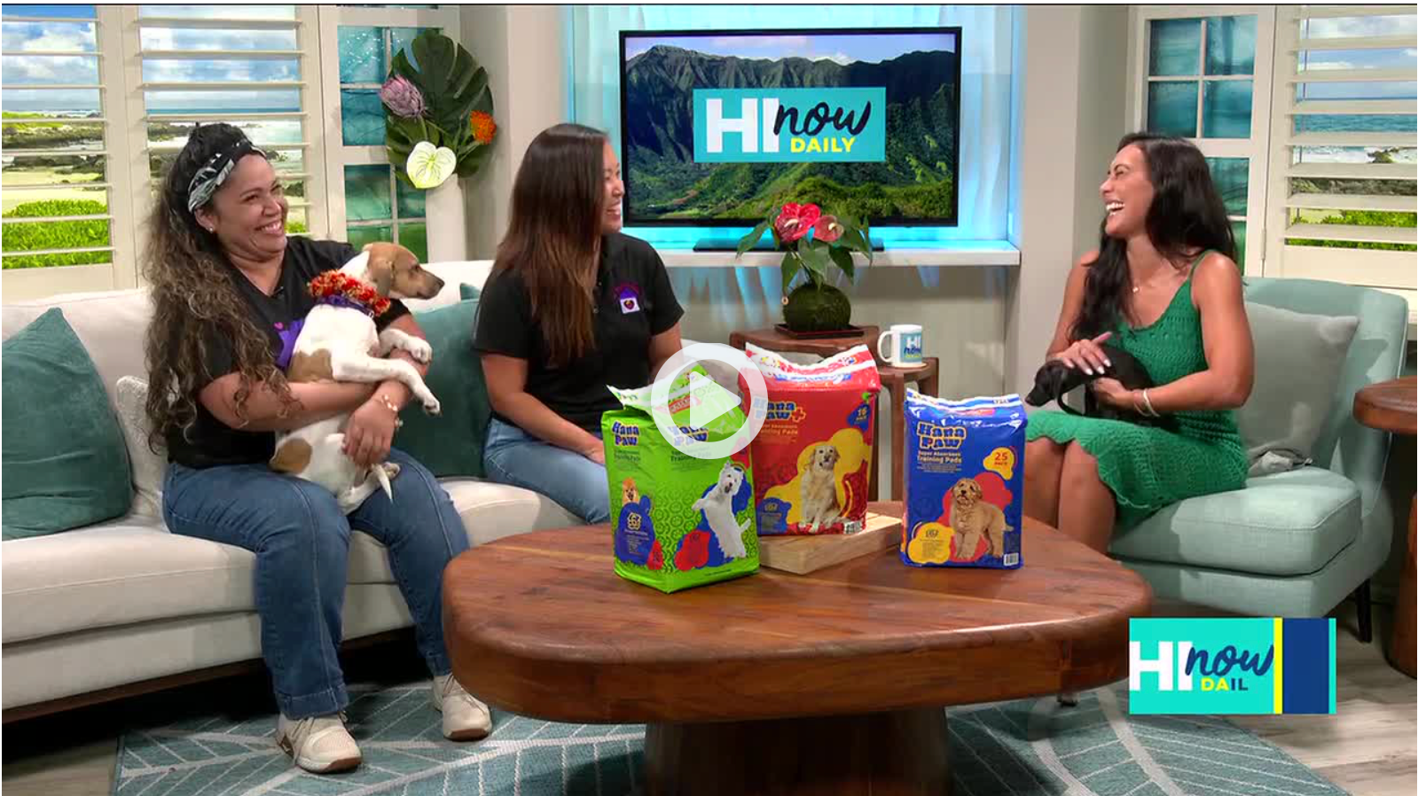 Hi Now Daily! — Saving Lives Together: How You Can Foster, Adopt, or Support Local Rescue Dogs