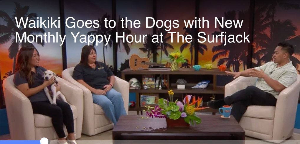 KHON2 — Waikiki Goes to the Dogs with New Monthly Yappy Hour at The Surfjack